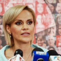 Despre Radet, “duamna” gabi si alte ape lipsa