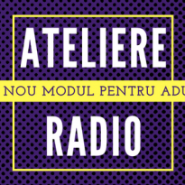 Un nou Modul Radio pentru adulti.