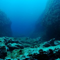 Virus bizar, descoperit sub fundul oceanului